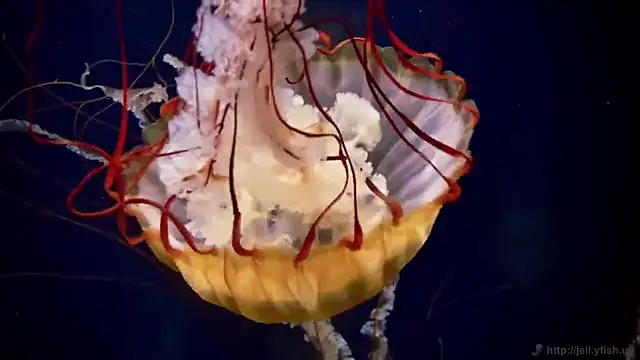 Snapshot of streamy_test12 chatting on September 12, 8:34 am streamy test12 online show from September 12, 8:34 am