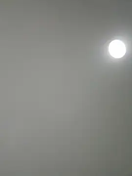 Amber Rush  online show from September 8, 5:45 pm