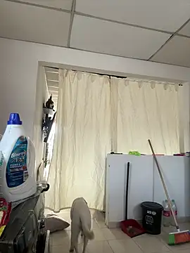 Pretty Isadora online show from November 14, 9:04 pm