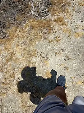 klownman1 online show from April 27, 8:17 pm