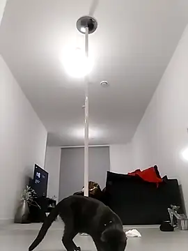 Cinderella Jewels  online show from April 4, 9:46 pm