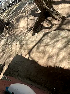 Snapshot of _Gyy_ chatting on October 12, 8:28 am  Gyy  online show from October 12, 8:28 am