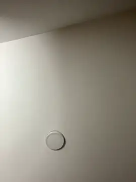 Freya Artemisa online show from February 13, 8:32 pm