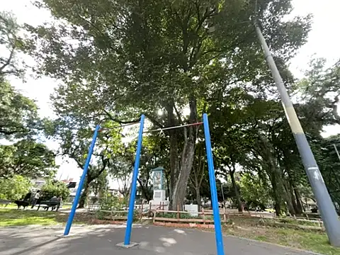 Siriss boyrag online show from February 20, 8:53 pm