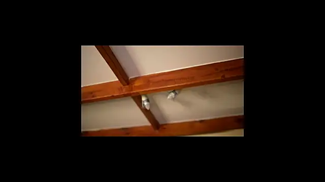 Bellis Perenis online show from February 26, 9:30 am