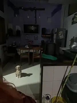 SophiaWeestt99 online show from October 1, 1:43 am