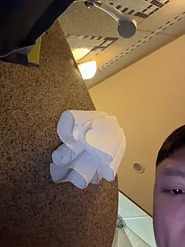 frnk30151 online show from November 8, 11:59 am