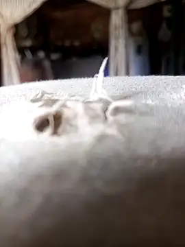 samy-blonde online show from September 14, 5:33 pm