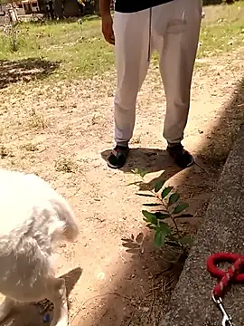 geroAguilar online show from April 28, 4:11 pm