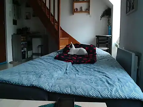 Lauzo21 online show from February 24, 6:56 am