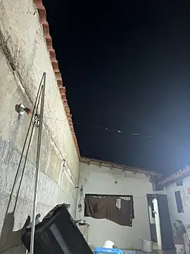 Leo bunny hot online show from January 15, 4:29 am