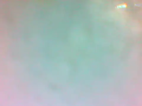 TheDoggyAss online show from April 19, 9:50 pm