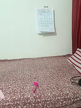 Saroj-Shah online show from April 11, 6:30 am