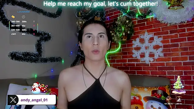 andy angell1 online show from November 29, 1:15 pm