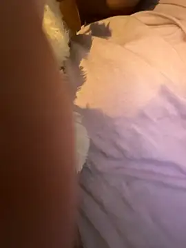 carmelbbyx22 online show from February 28, 11:37 pm