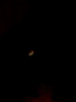 michell boobs  online show from November 24, 11:12 am