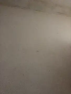 BELLAMORGANE1 online show from November 2, 9:23 am