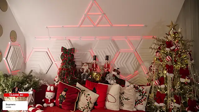 taanni bc online show from January 16, 10:50 pm