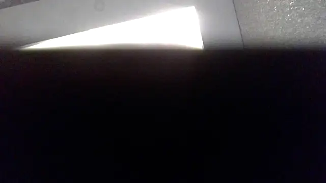 Wild00Bird online show from October 17, 10:24 pm