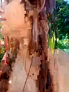 AliceRuivinha2 online show from February 18, 9:52 am