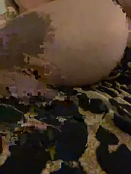 Maya mimi online show from February 7, 2:37 am