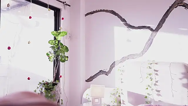 soidai miiu online show from November 21, 9:50 pm