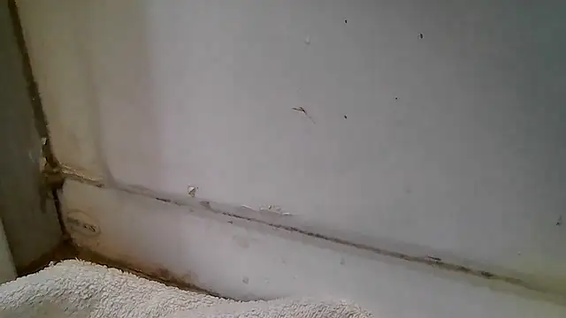 ShysluutGia online show from December 15, 11:48 am