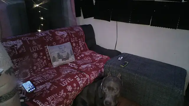 CoffeeNCreamHer online show from February 6, 2:26 am