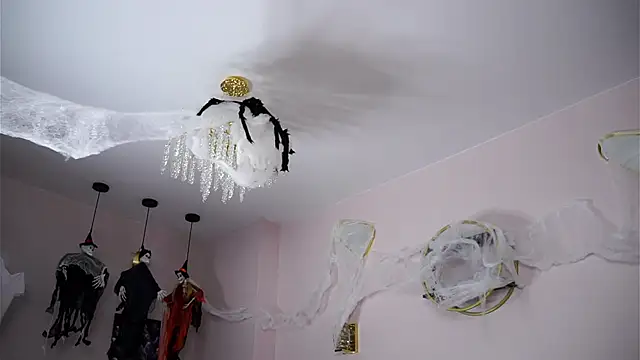 SunnivaCovil online show from October 30, 2:40 pm