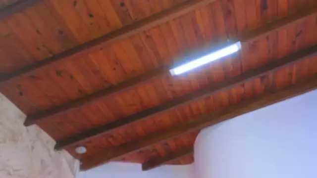 Leaa Cox online show from January 9, 3:55 am