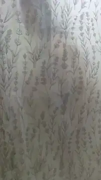 Ariya Sinz XoXo online show from March 13, 8:43 pm