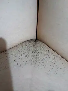 yakot7 online show from November 2, 12:25 am