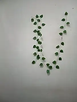 Neha-Bhabhi-Rasily online show from March 8, 11:14 am