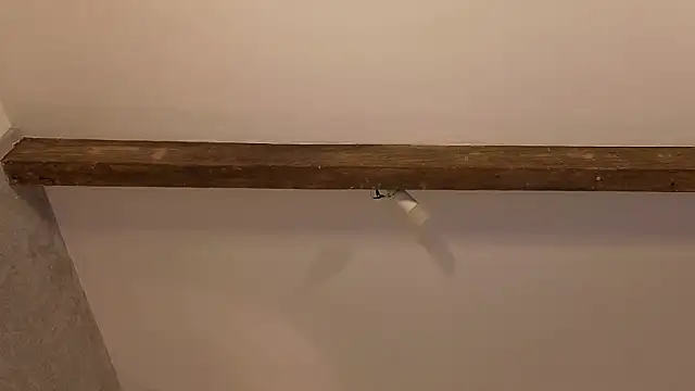 nicelle carson  online show from March 12, 10:45 pm