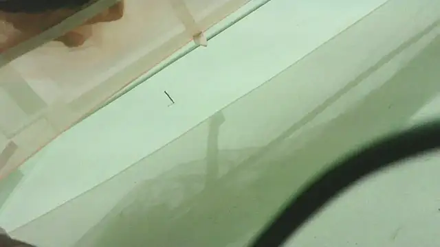 CrazyMove83 online show from February 25, 12:15 pm