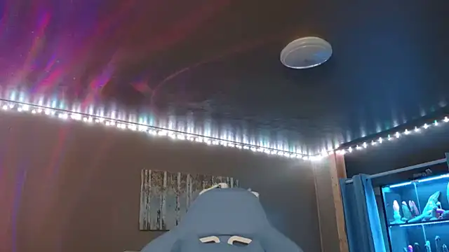 mavismable online show from November 17, 6:58 am