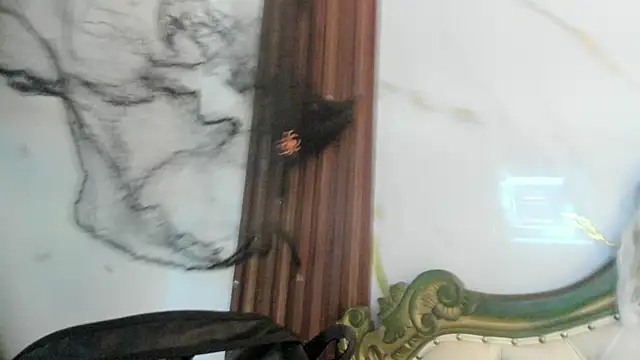 CoralieBronson online show from October 28, 8:46 pm