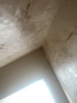 Snapshot of Noa_Todokoro chatting on October 16, 3:03 pm Noa Todokoro online show from October 16, 3:03 pm