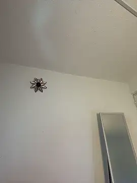 mandy222  online show from October 12, 2:36 am