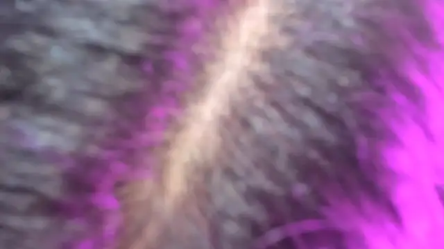 candy hot999 online show from November 13, 12:09 am