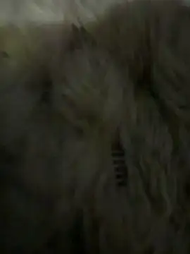 anonimgirl18old online show from March 6, 5:08 pm