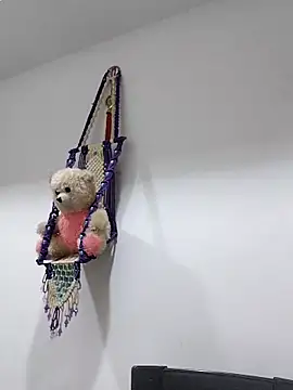 sneha bebo online show from November 7, 4:01 pm