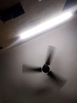 Devi-with-Ram online show from October 13, 1:14 pm