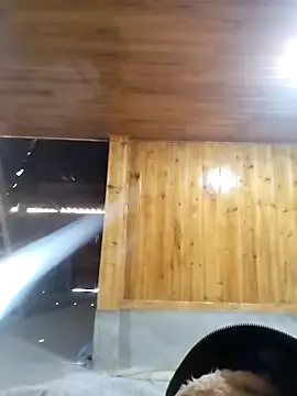 Tiyir597 online show from April 13, 4:14 am