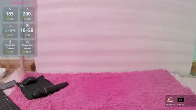 ASIAN puppy online show from November 4, 5:51 pm