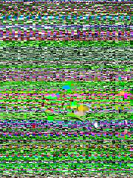 Sienna-Cow online show from September 12, 11:28 am