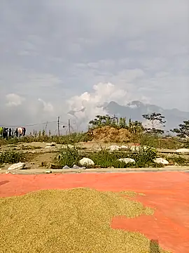 asian 2k online show from November 15, 1:39 am