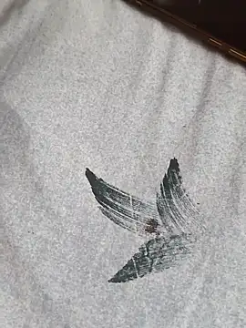 hot plak online show from November 18, 5:36 pm