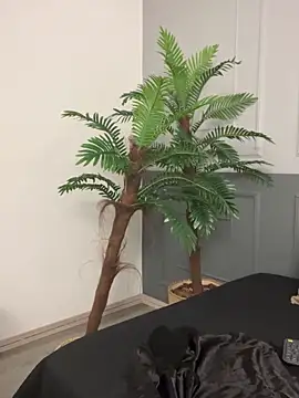 AnnyVega  online show from November 18, 10:00 pm