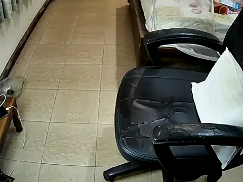 sissypamsissy online show from February 8, 12:20 pm